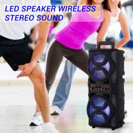 Portable Wireless PA Speaker - 2500W Dual 3