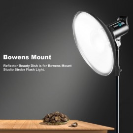 16 inch 42cm Standard Reflector Beauty Dish with Honeycomb Grid Diffuser Sock and Bag for Bowens Mount Studio Strobe Flash Light Like Neewer VC 400HS VE 300 Godox AD200 AD180 AD360 Silver