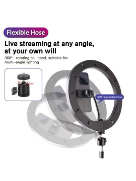 10 Inch Selfie Ring Light with 43 Inch Adjustable Tripod Stand & Phone Holder - Dimmable LED Ring Light with RGB Color Adjustable Light Levels, Portable -Powered Circular Flashlight for Vlogging, Streaming, -Powered